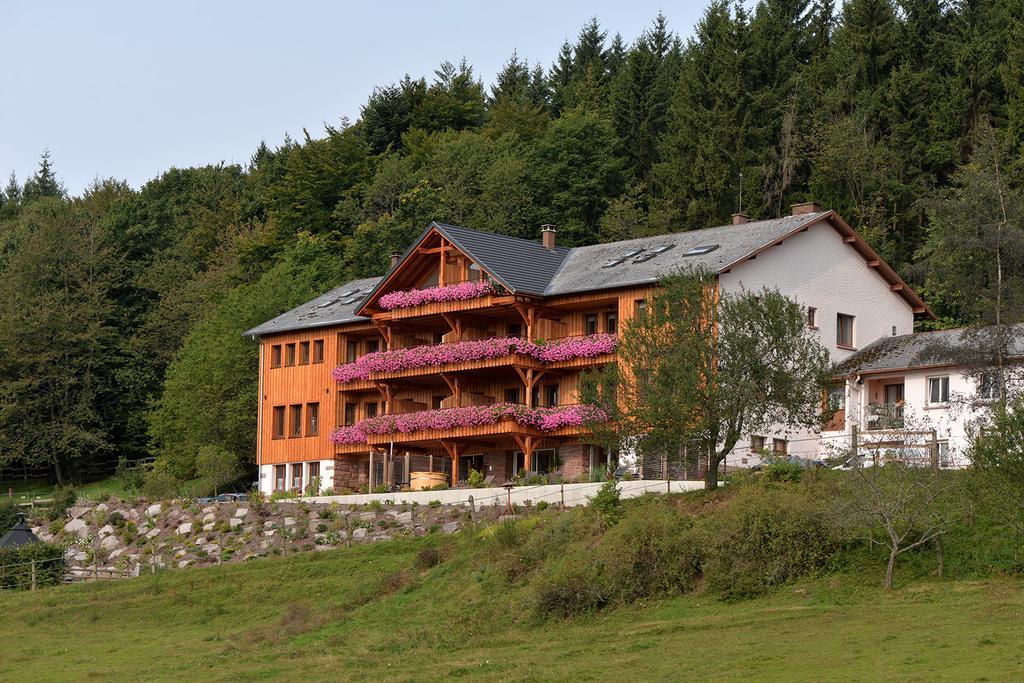 Aubure Les Gites D'Adelspach Gites & Spa En Alsace מראה חיצוני תמונה